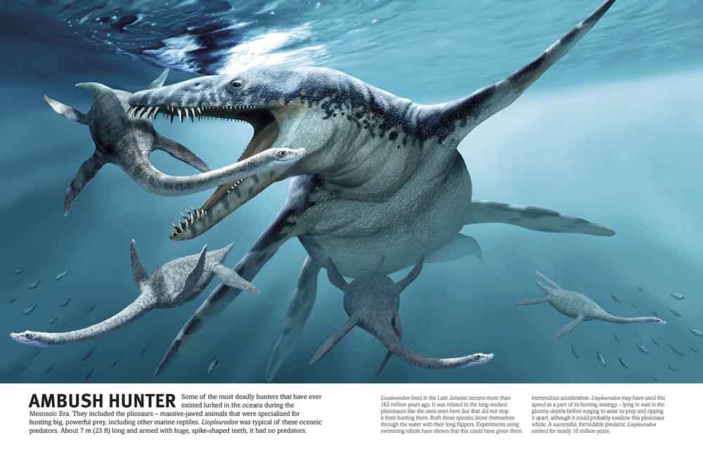 Our World in Pictures - The Dinosaurs Book-Nonfiction: 動物植物 Animal & Plant-買書書 BuyBookBook