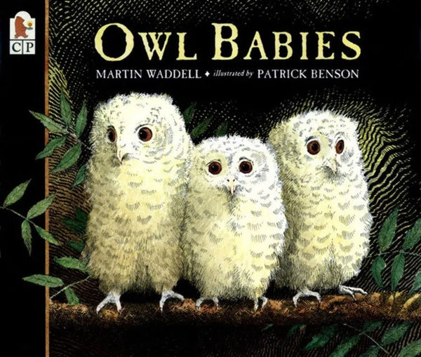 Owl Babies-Children’s / Teenage fiction: Nature and animal stories-買書書 BuyBookBook