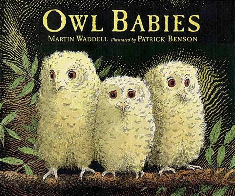 Owl Babies Big Book-Children’s / Teenage fiction: Nature and animal stories-買書書 BuyBookBook