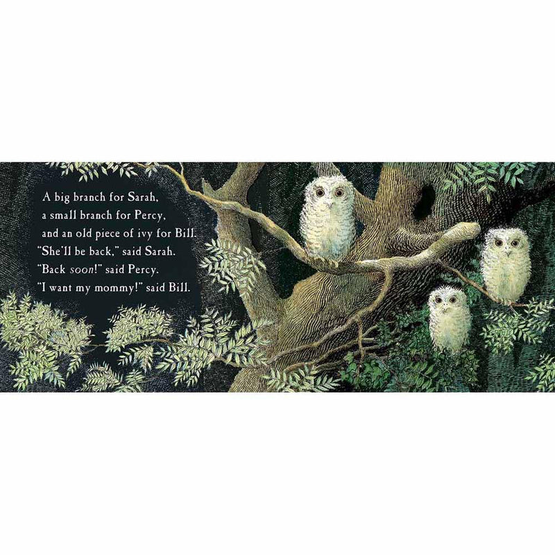 Owl Babies (Boardbook) Candlewick Press