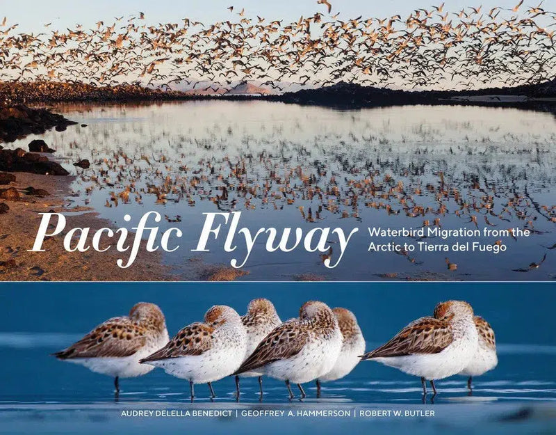 Pacific Flyway-Nature and the natural world: general interest-買書書 BuyBookBook