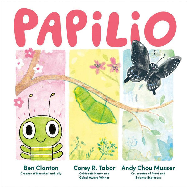 Papilio-Children’s / Teenage fiction: Nature and animal stories-買書書 BuyBookBook