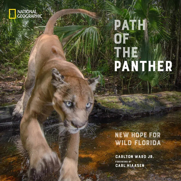 Path of the Panther-Photography and photographs-買書書 BuyBookBook