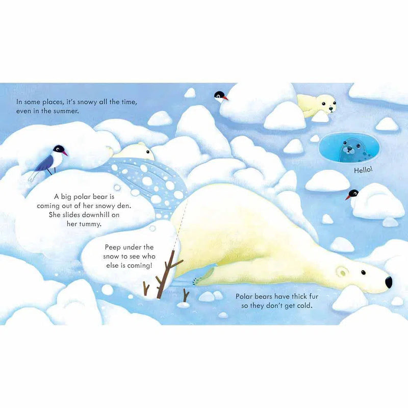 Peep Inside Snowy Places Usborne