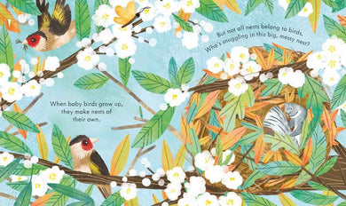 Peep Inside a Bird's Nest - 買書書 BuyBookBook