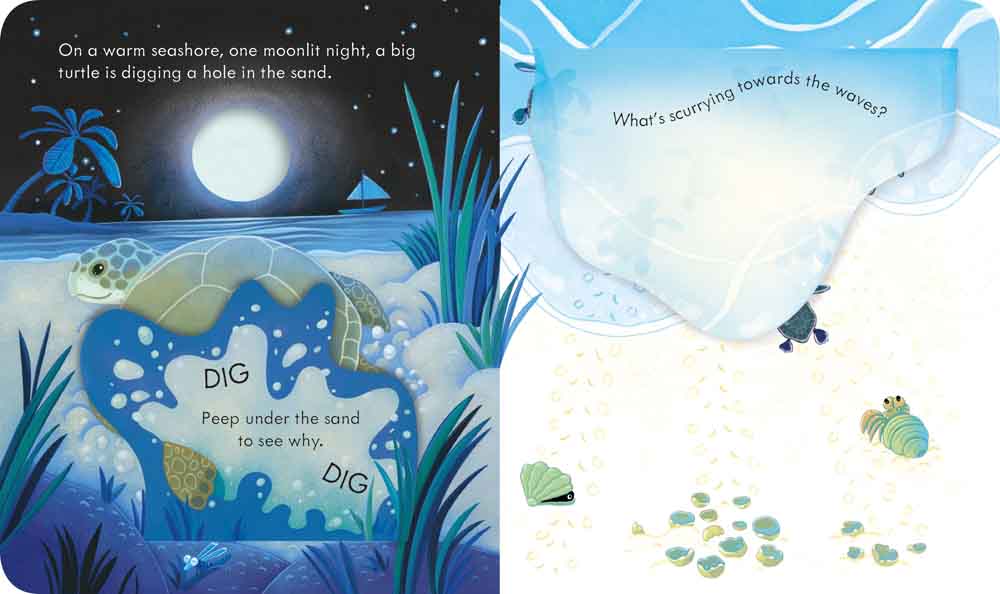 Peep Inside the Seashore - 買書書 BuyBookBook