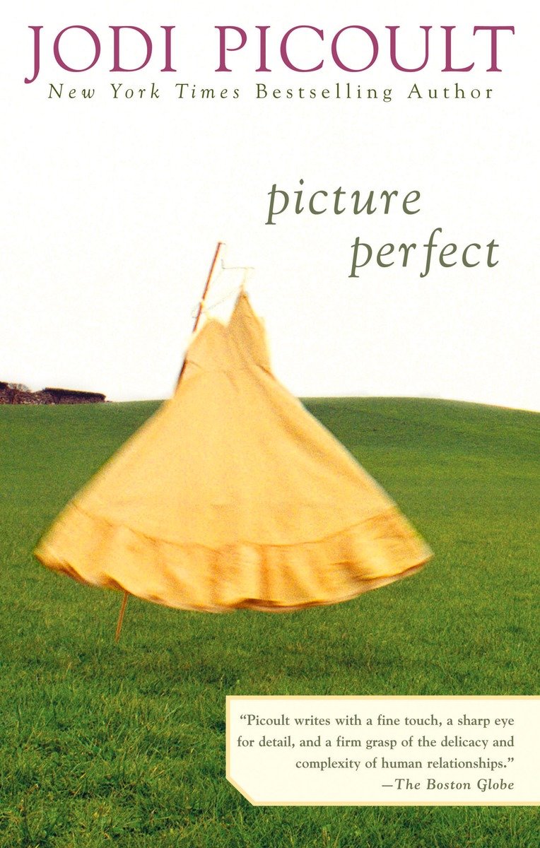 Picture Perfect-Fiction: general and literary-買書書 BuyBookBook