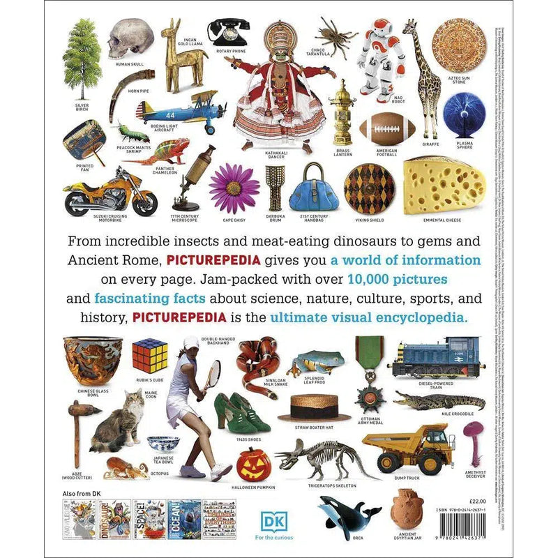 Picturepedia- An Encyclopedia on Every Page (Hardback) DK UK