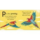 P is for Parrot (Board book) DK UK