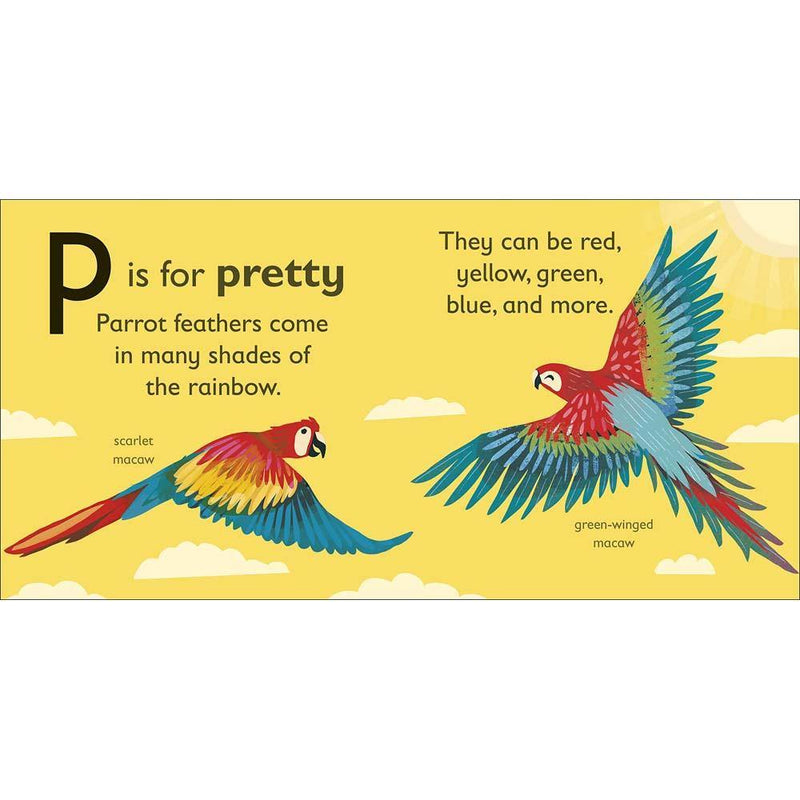 P is for Parrot (Board book) DK UK