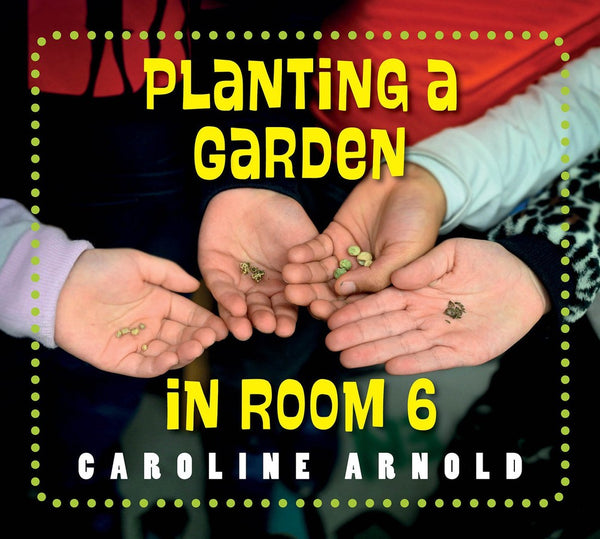 Planting a Garden in Room 6-Children’s / Teenage general interest: Gardening-買書書 BuyBookBook