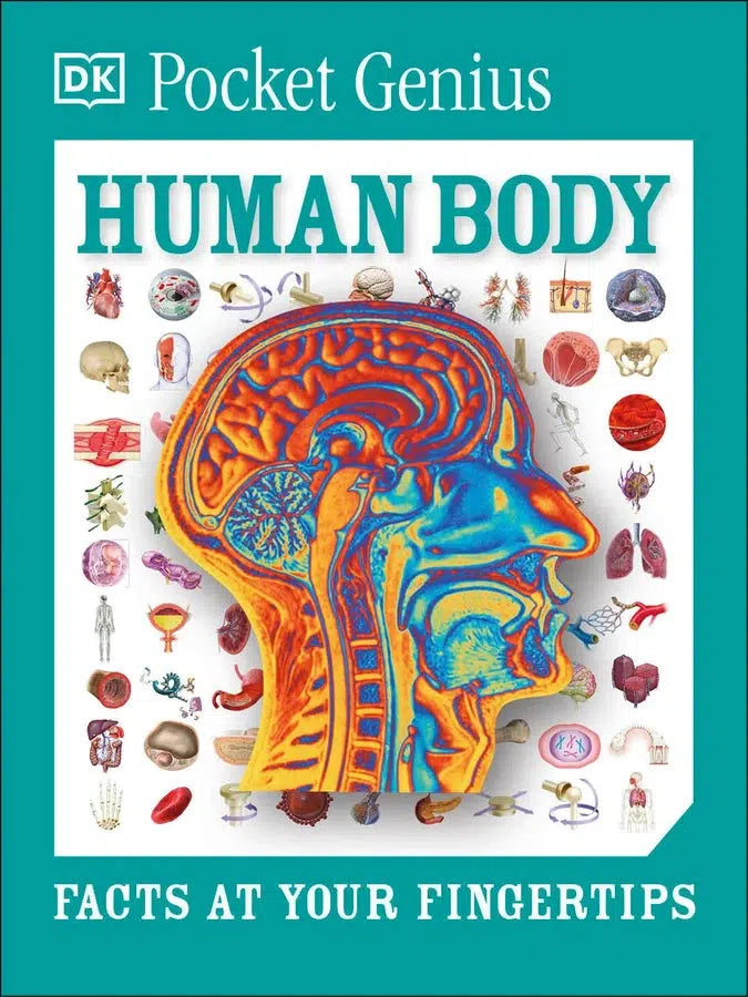 Pocket Genius: Human Body-Children’s / Teenage general interest: Science and technology-買書書 BuyBookBook