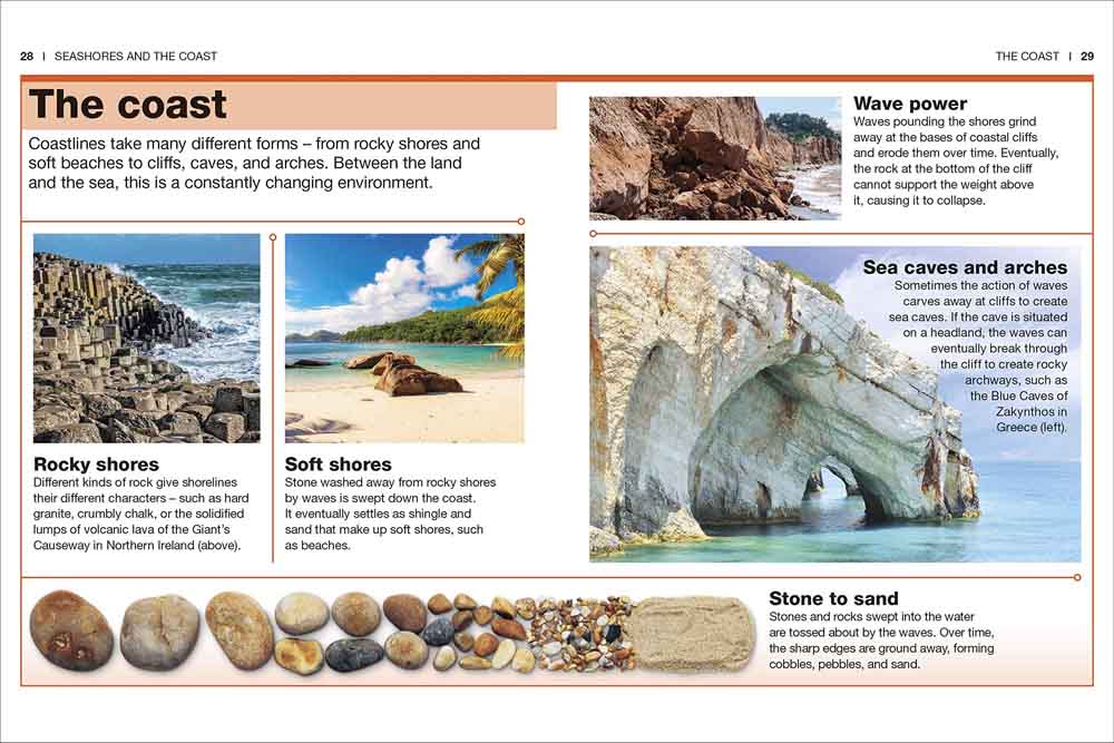 Pocket DK Eyewitness - Ocean - 買書書 BuyBookBook