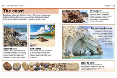 Pocket DK Eyewitness - Ocean - 買書書 BuyBookBook
