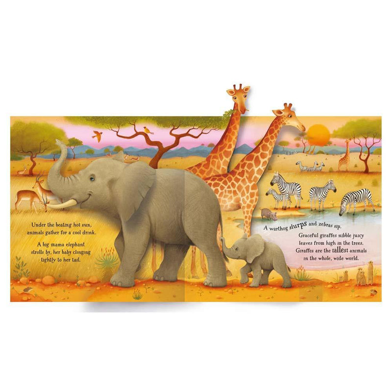 Pop-Up Animals (with QR code) Usborne