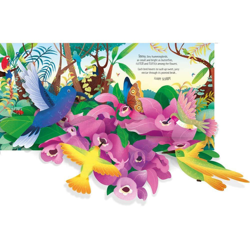 Pop-Up Birds Usborne