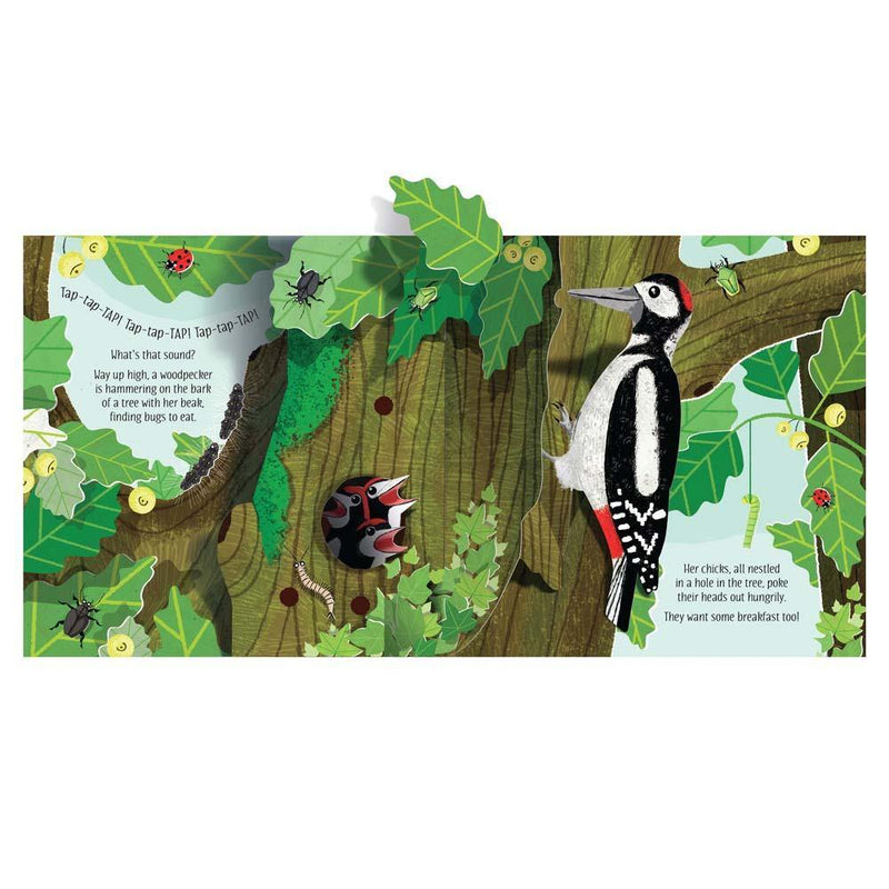 Pop-Up Nature (with QR code) Usborne