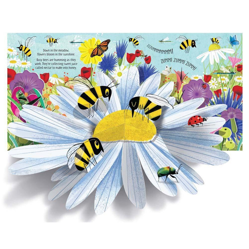 Pop-Up Nature (with QR code) Usborne