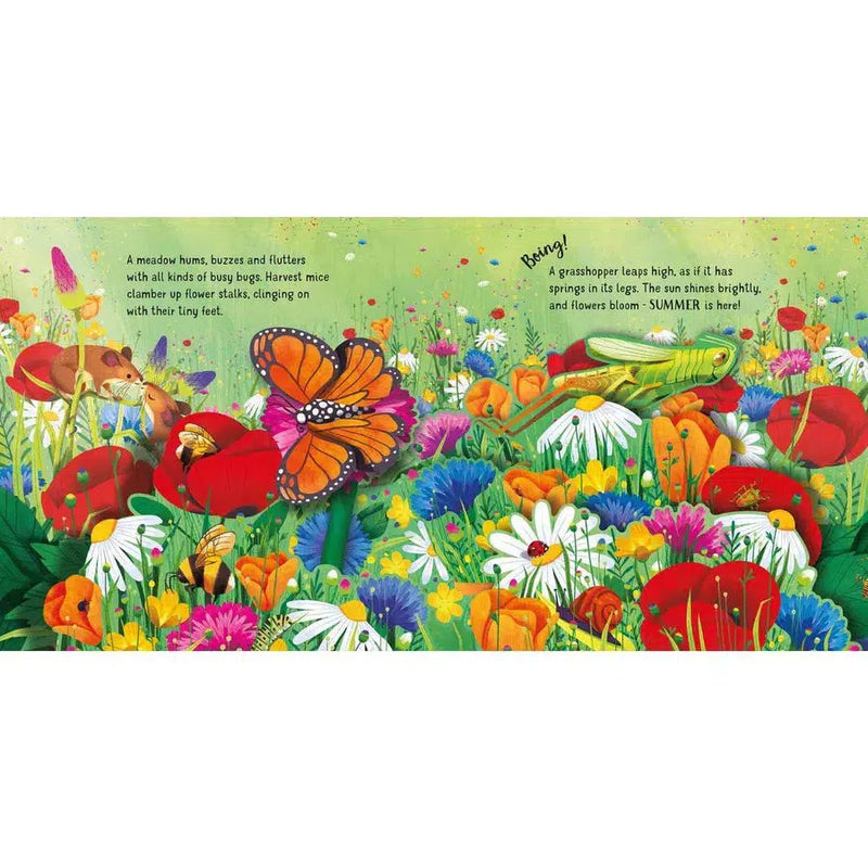 Pop-Up Seasons (with QR code) Usborne