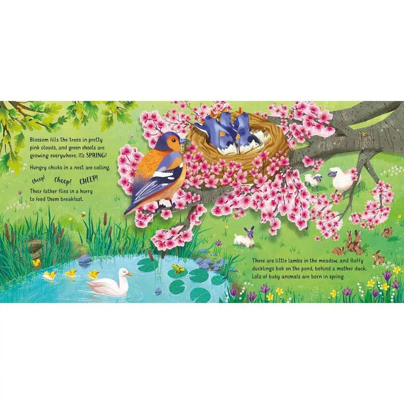 Pop-Up Seasons (with QR code) Usborne