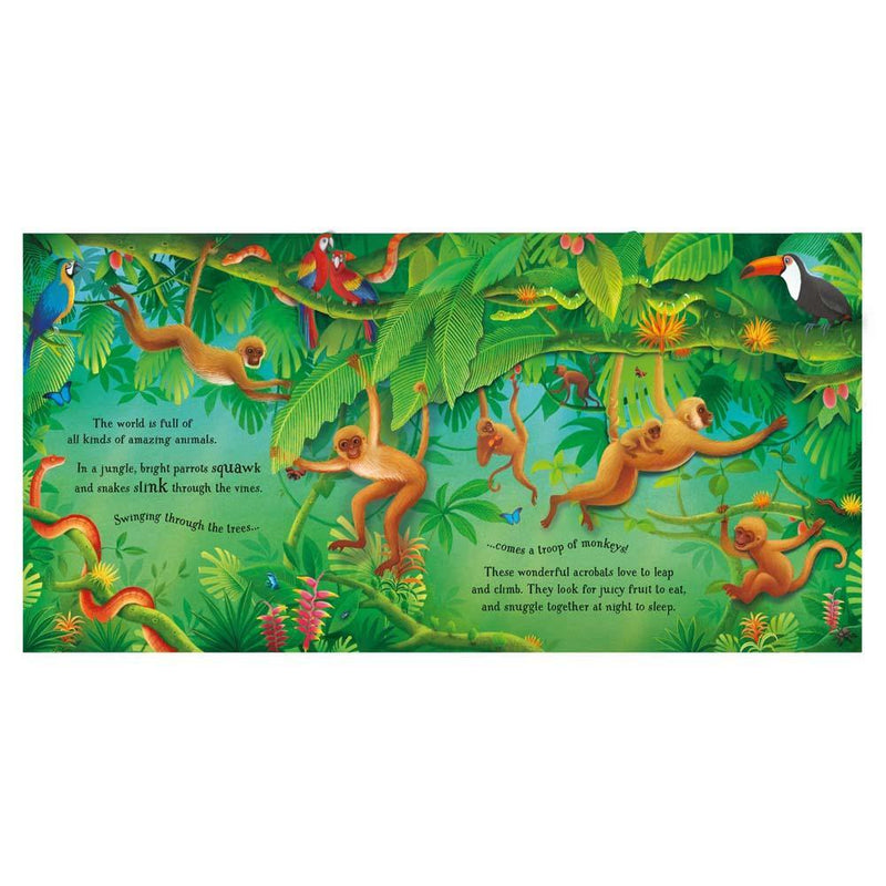 Pop-Up Animals (with QR code) Usborne