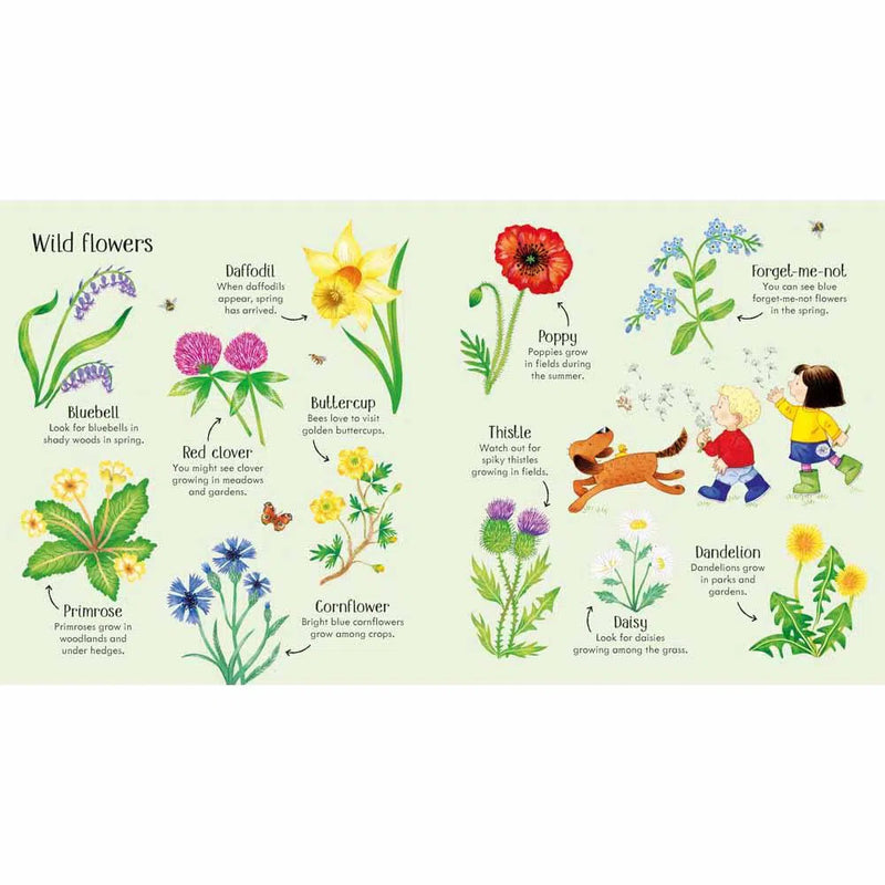 Poppy and Sam's Nature Spotting Book Usborne