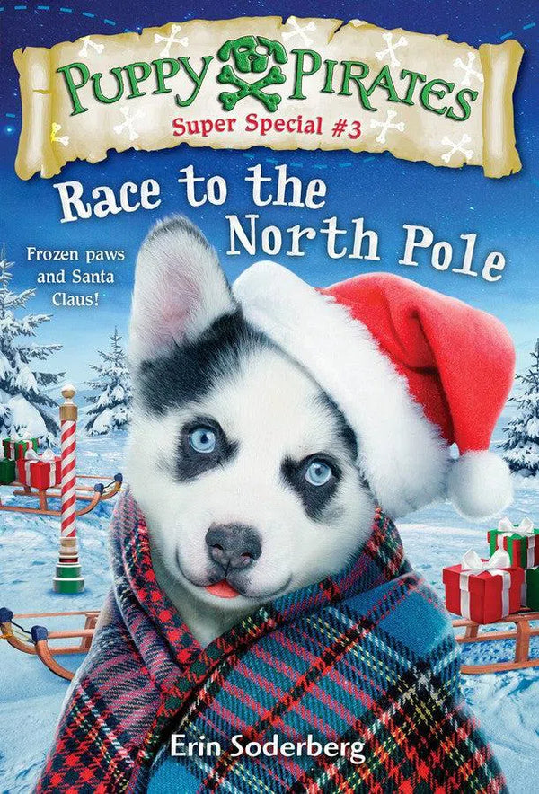 Puppy Pirates Super Special #3: Race to the North Pole-Children’s / Teenage fiction: Action and adventure stories-買書書 BuyBookBook