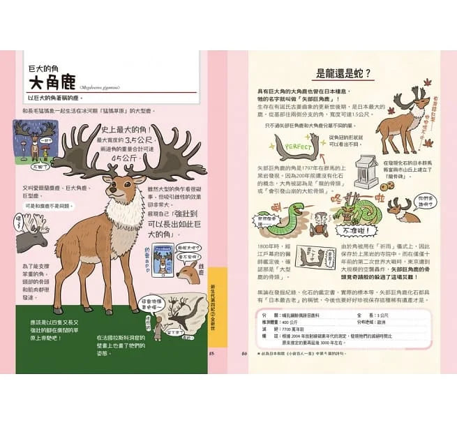 奇怪的滅絕動物超可惜！圖鑑-非故事: 動物植物 Animal & Plant-買書書 BuyBookBook