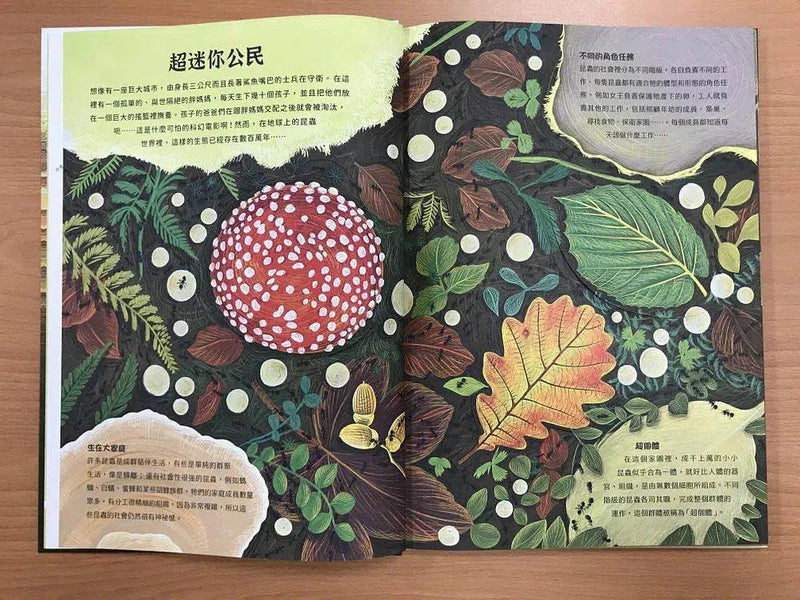 潛入迷你王國：小巧蜂蟻驚奇無比 (大開本翻翻書)-非故事: 參考百科 Reference & Encyclopedia-買書書 BuyBookBook