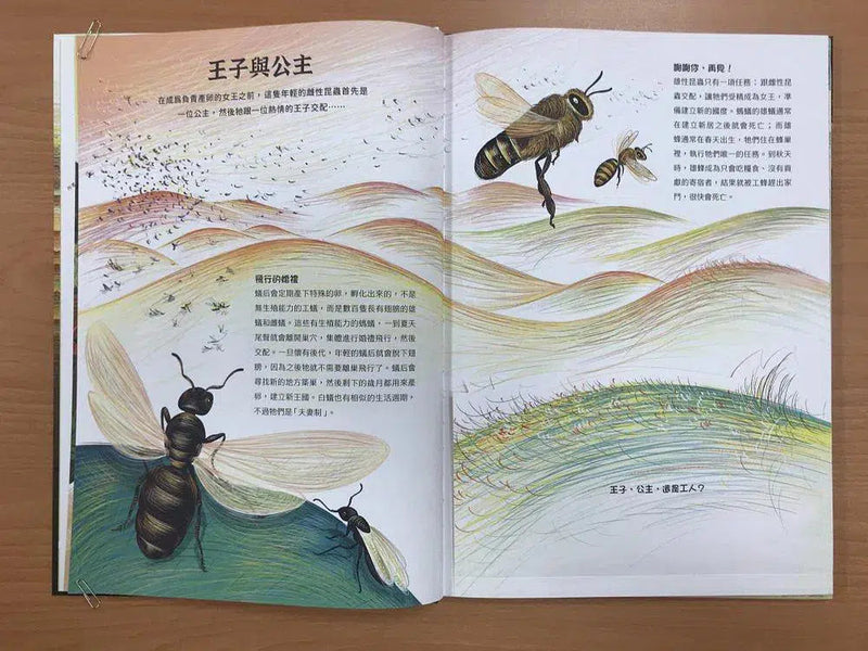 潛入迷你王國：小巧蜂蟻驚奇無比 (大開本翻翻書)-非故事: 參考百科 Reference & Encyclopedia-買書書 BuyBookBook