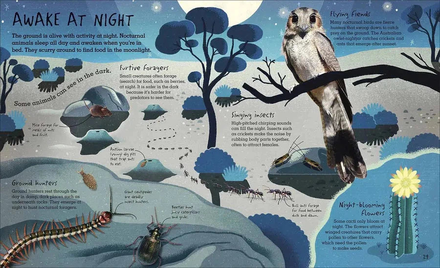 RHS Under Your Feet DK UK