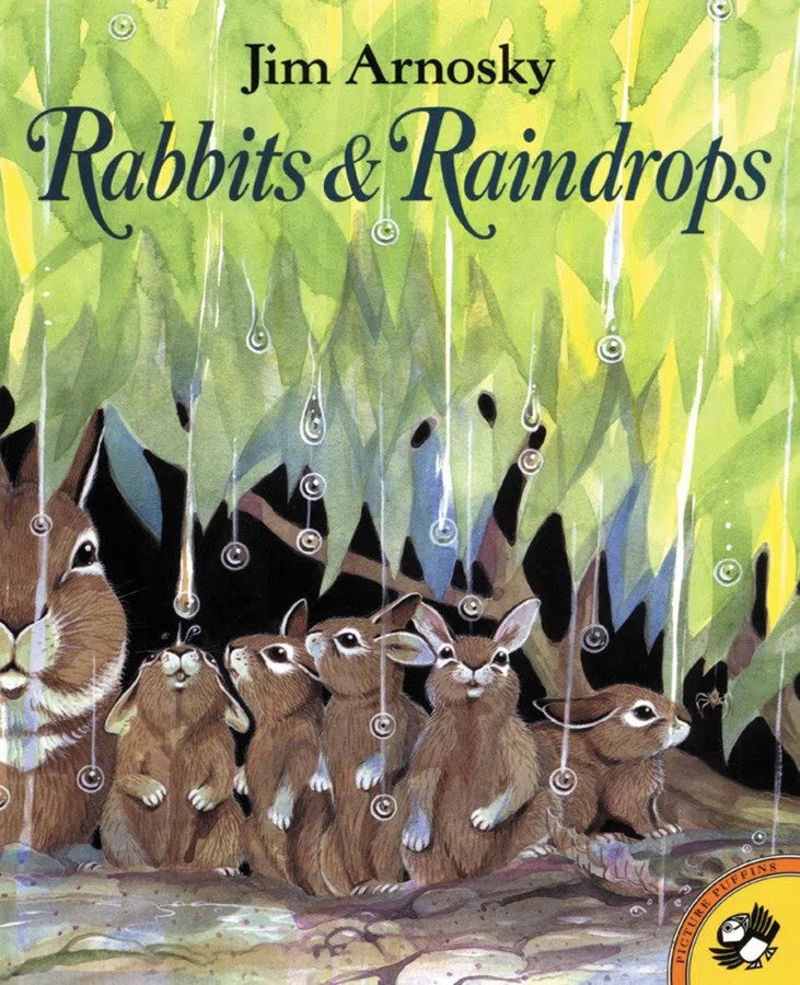 Rabbits and Raindrops-Children’s / Teenage fiction: Nature and animal stories-買書書 BuyBookBook