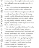 Rainbow Grey: Battle for the Skies (Laura Ellen Anderson)-Fiction: 奇幻魔法 Fantasy & Magical-買書書 BuyBookBook