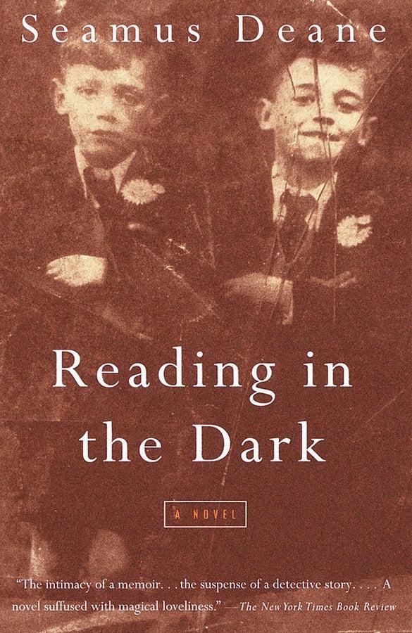 Reading in the Dark-Fiction: Modern and contemporary-買書書 BuyBookBook