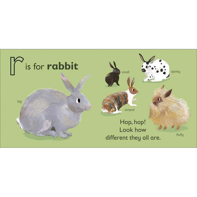 R is for Rabbit (Board book) DK UK