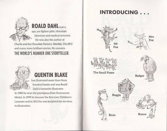 Roald Dahl (正版) Collection (16 Books) Penguin UK