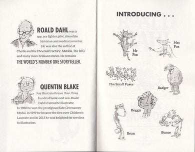 Roald Dahl (正版) Collection (16 Books) Penguin UK