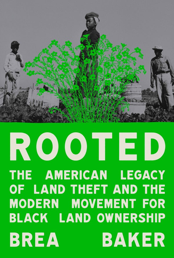 Rooted-Social and cultural history-買書書 BuyBookBook