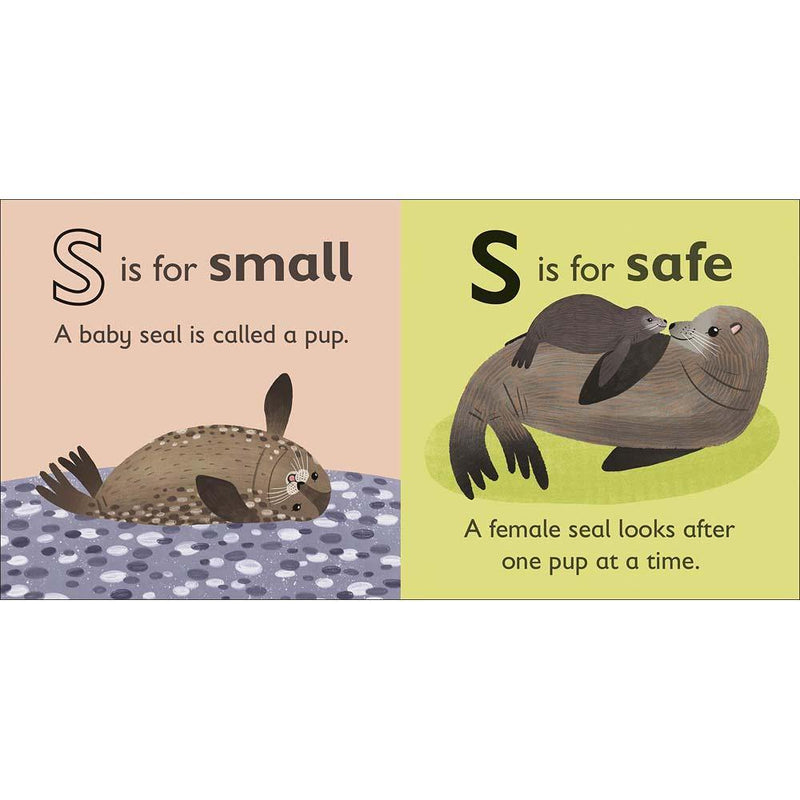 S is for Seal (Board book) DK UK