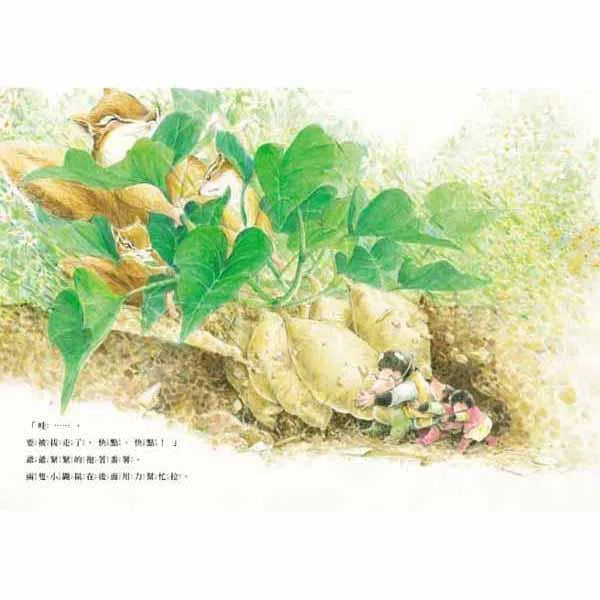 三隻小鼴鼠 - 一起來烤番薯-故事: 兒童繪本 Picture Books-買書書 BuyBookBook