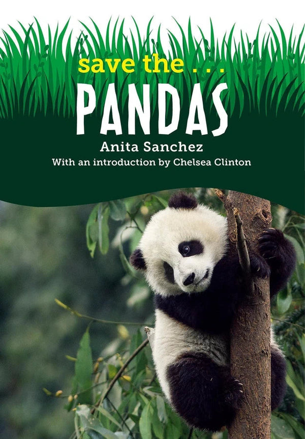 Save the...Pandas-Children’s / Teenage general interest: Bears-買書書 BuyBookBook