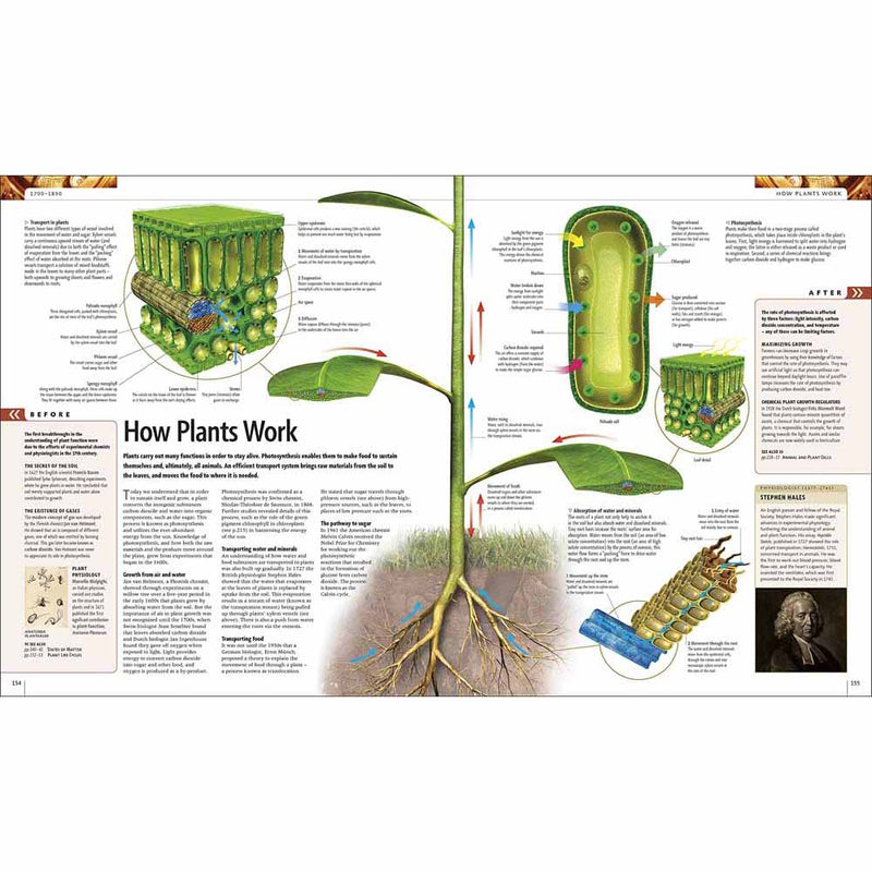 Science - The Definitive Visual Guide (Hardback) DK UK