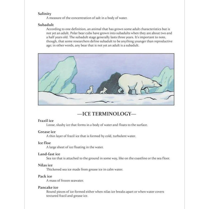 Science Comics: Polar Bears: Survival on the Ice First Second