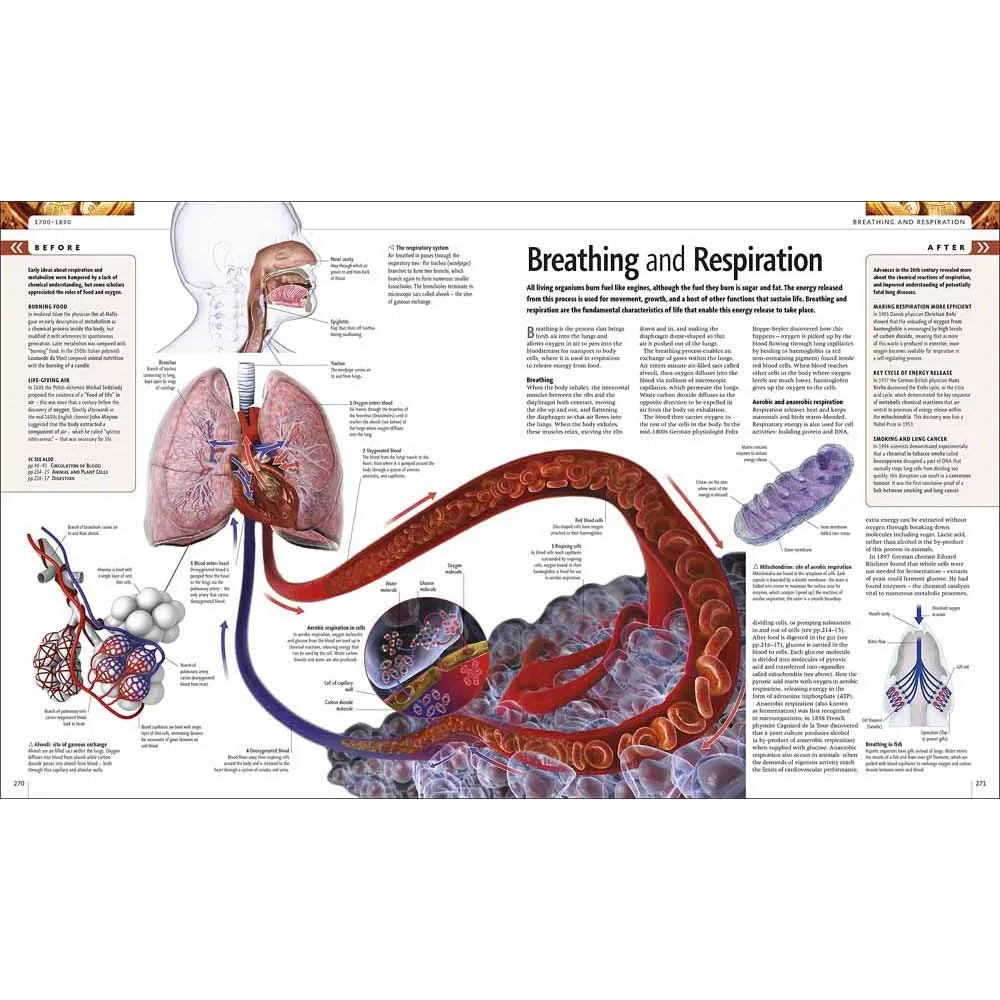 Science - The Definitive Visual Guide (Hardback) DK UK