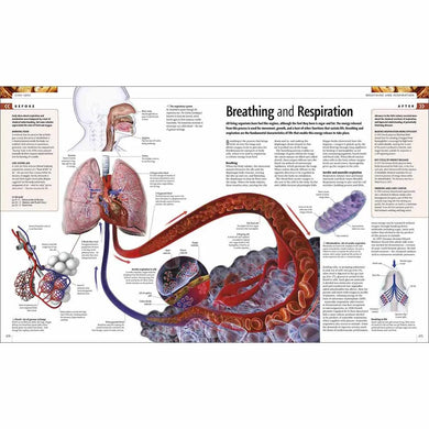 Science - The Definitive Visual Guide (Hardback) DK UK