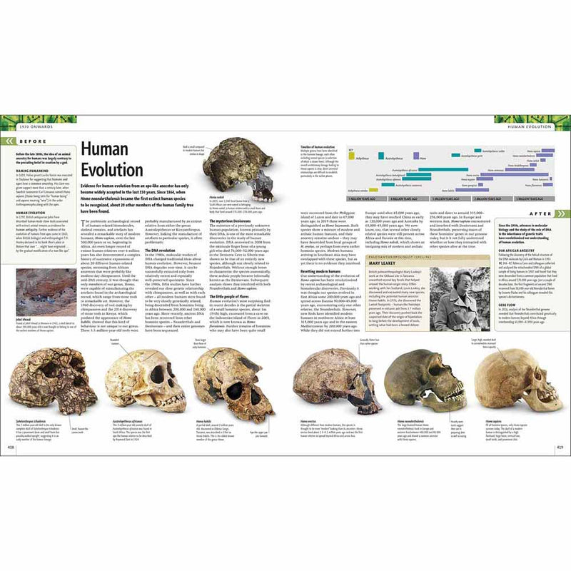 Science - The Definitive Visual Guide (Hardback) DK UK