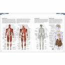 Science - The Definitive Visual Guide (Hardback) DK UK