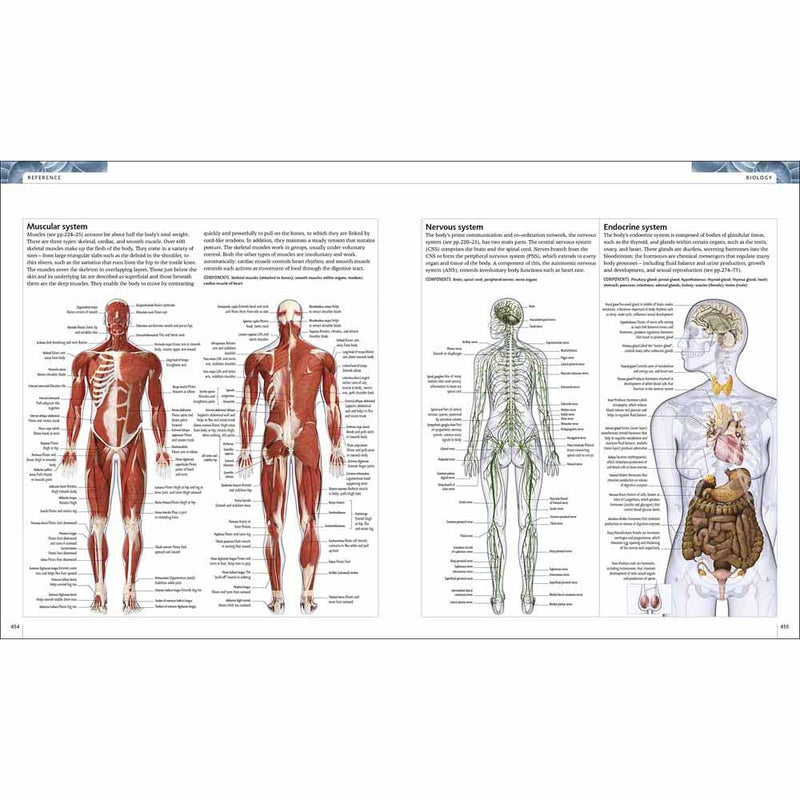 Science - The Definitive Visual Guide (Hardback) DK UK