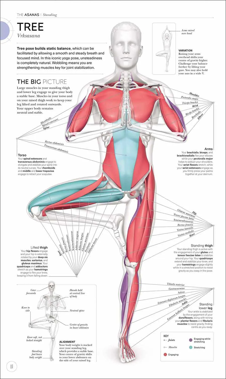Science of Yoga (Hardback) DK UK