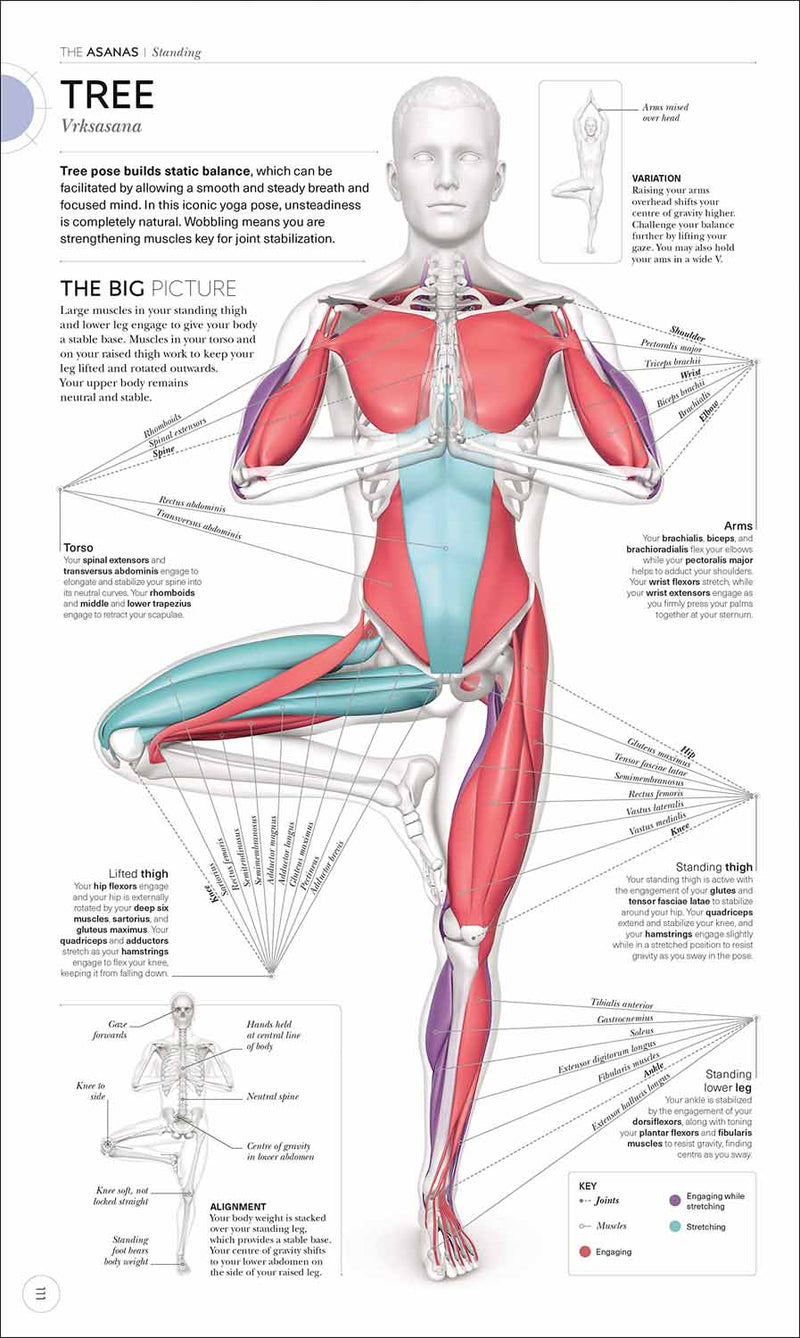 Science of Yoga (Hardback) DK UK